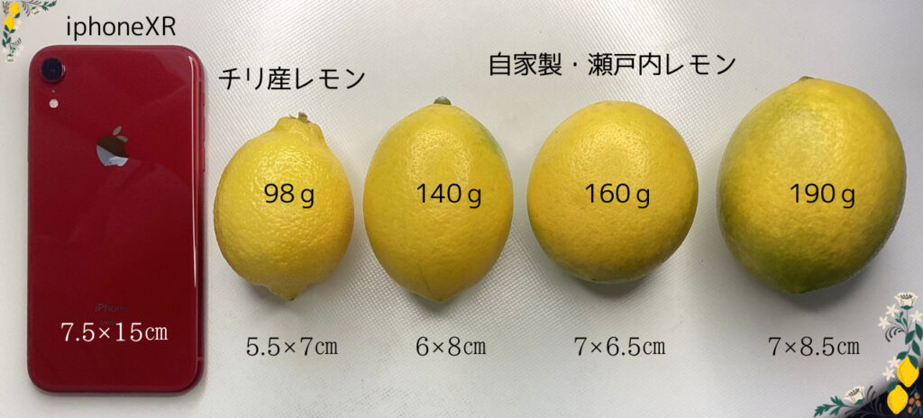瀬戸内レモンの重さと大きさ比較