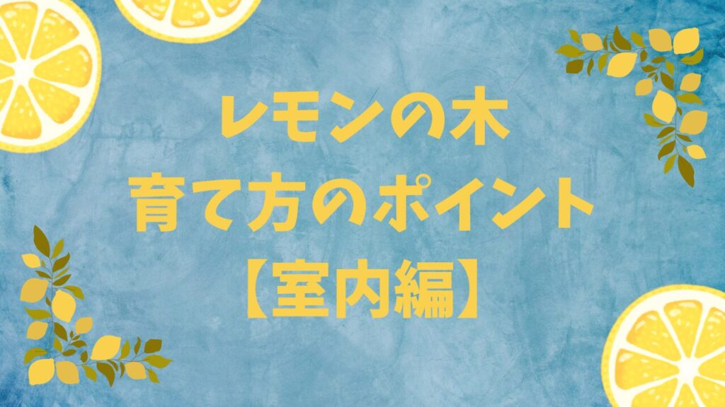 レモンの木の育て方ポイント・鉢植え・室内