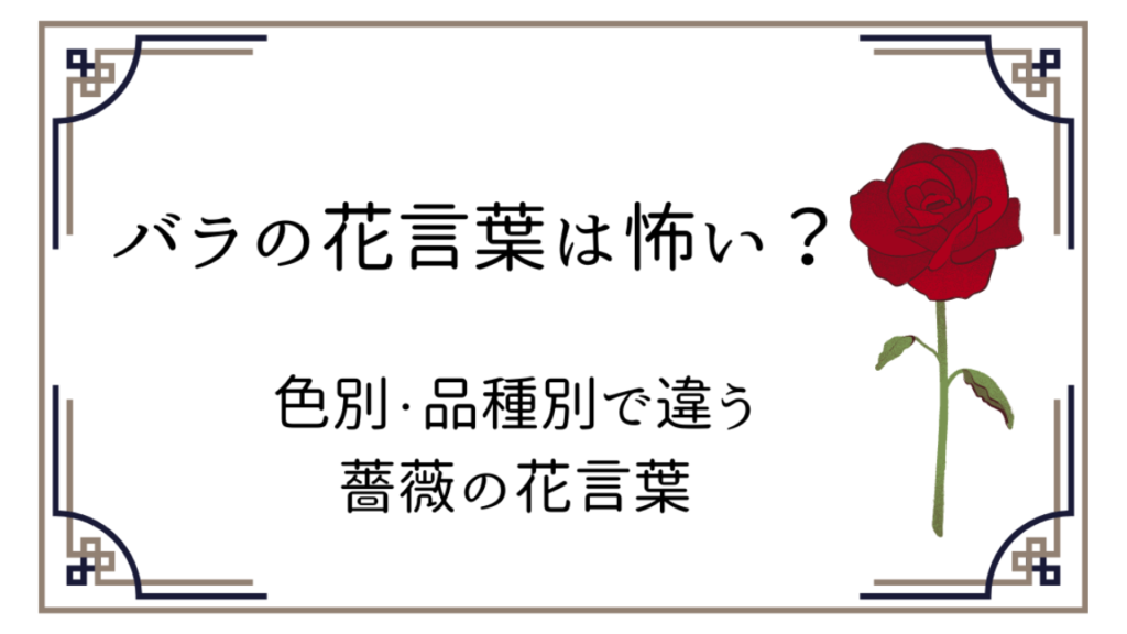 バラの花言葉（色別・品種別）怖い？