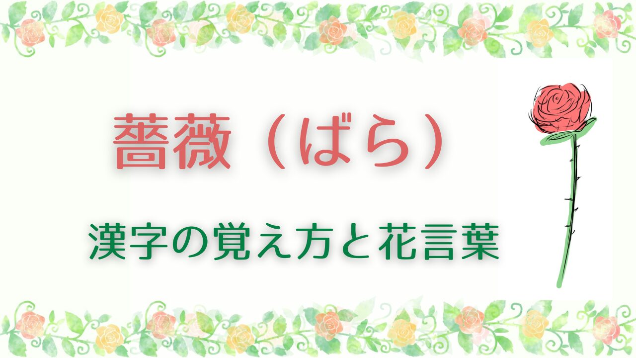 薔薇の漢字の覚え方と花言葉