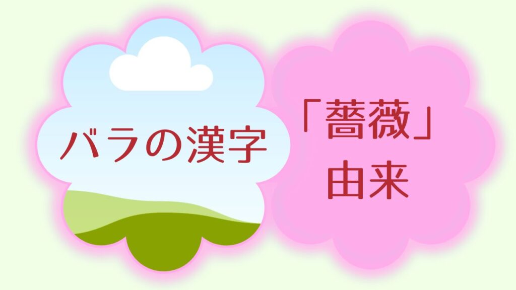 薔薇の漢字の由来